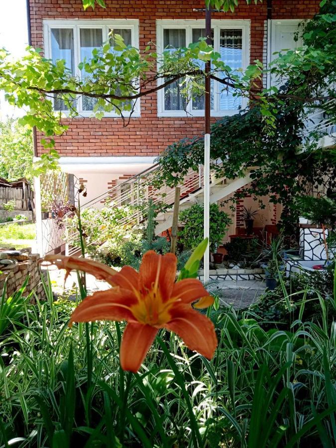 Guest House Meri Poppins Dedoplis Tskaro Exterior photo